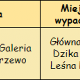 T_wypadajka