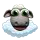 26.png