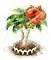 Zdjęcie 33