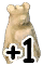 Zdjęcie 35