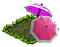 Zdjęcie 22