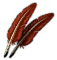 Zdjęcie 17