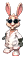 Zdjęcie 16