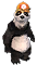 Zdjęcie 6
