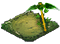 Zdjęcie 11