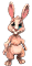 Zdjęcie 11