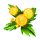 Zdjęcie 13