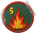 Zdjęcie 11