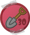 Zdjęcie 15